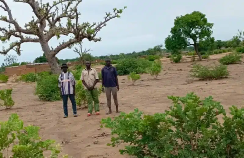 Community members standing on the plot of land to be used as a community garden